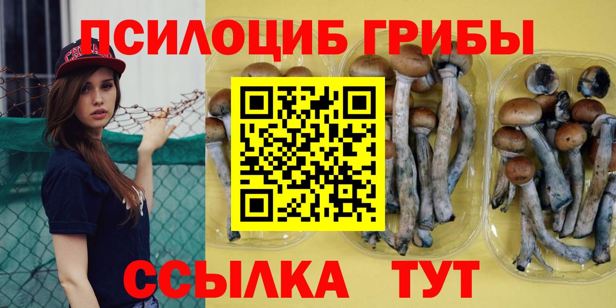 Галлюциногенные грибы Magic Shrooms  Вход с VPN  Шарыпово 